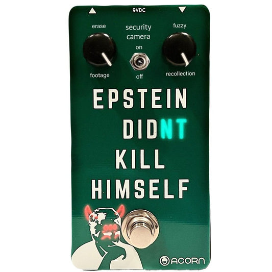 Acorn Amplifiers Epstein Didn't Kill Himself Fuzz